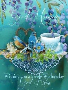 a blue card with two birds on it and flowers in the background that says god's merry wishing you a lovely wednesday