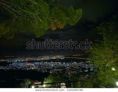 night view of the city lights and trees