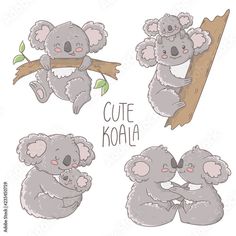 four koalas are sitting on the tree and one is holding onto a branch