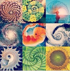 many different pictures with one person standing in the middle and two spirals at the bottom