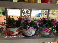 three flower pots sitting on top of a shelf