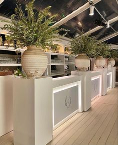 two large vases with plants in them are on display at the store's front counter