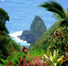 an ocean view from the top of a hill with trees and bushes around it,