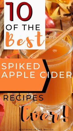 an apple cider with cinnamon sticks and apples in the background text reads, 10 of the best spiced apple cider recipes