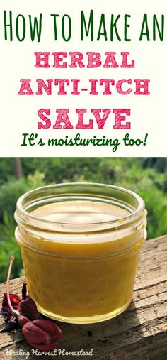 How to Make an Herbal Anti-Itch Salve or Balm (Great for Bug Bites; Dry Itchy Skin; Allergic Reactions; & More) — Home Healing Harvest Homestead Herbal Salves, Dry Itchy Skin, Anti Itch, Natural Healing Remedies, Diy Remedies, Natural Therapy, Natural Care, Homemade Remedies