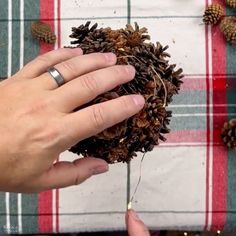 two hands holding pine cones on top of a checkered table cloth with other pine cones