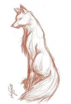 a drawing of a fox sitting on the ground with its tail curled up and eyes closed