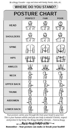 Back Fitness, Human Muscle Anatomy, Massage Therapy Business, Basic Anatomy And Physiology, Sports Therapy, Yoga Anatomy, Spine Health, Muscle Anatomy, Human Anatomy And Physiology