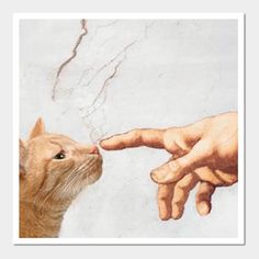 an orange cat is sniffing the hand of person's painting, which appears to be touching it