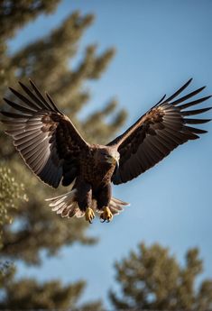 an eagle is flying through the air with its wings spread out and it's talon extended