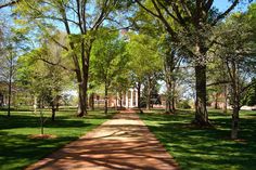 a path in the middle of a grassy area with trees on both sides and a white building in the background