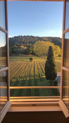 an open window looking out onto a field