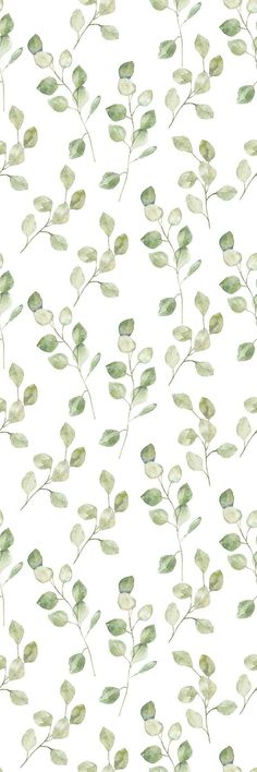 a white background with green leaves on it