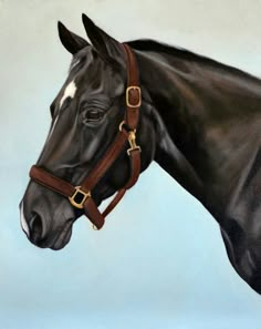 a painting of a black horse wearing a bridle