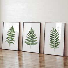 three framed pictures with green leaves in them on a wooden floor next to a window