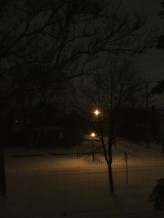 the night is dark and there are no people in the yard or lawn area at this time of day