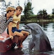 two boys are riding on a boat with a dolphin