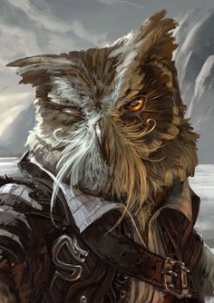 Owlin Rogue Dnd, Owlin Dnd, Fantasy Races