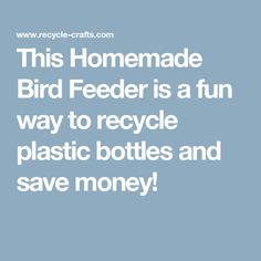 this homemade bird feeder is a fun way to recycle plastic bottles and save money