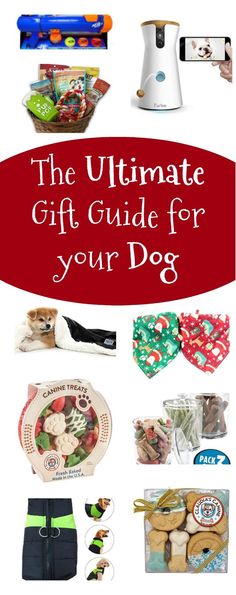 the ultimate gift guide for your dog