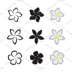 four different flower shapes in black, white and grey colors on a white background with yellow center