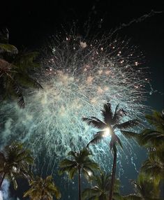 fireworks and palm trees are lit up in the night sky