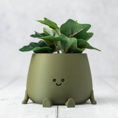 a potted plant with a face drawn on it