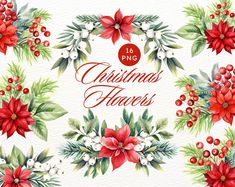 watercolor christmas flowers and holly wreaths with red berries, pine cones and poinsettis