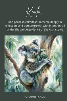 a koala bear sitting on top of a tree with the caption'find peace in calmness, innere deeply in reflection, and pursue growth with intention, all under the gentle guidance