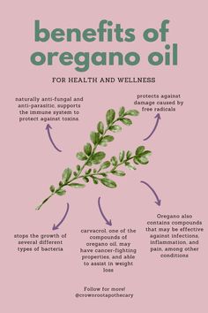 the benefits of oregano oil for health and wellness