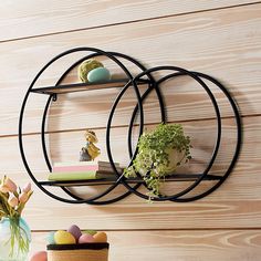 two metal shelves with plants and books on them next to a basket filled with eggs