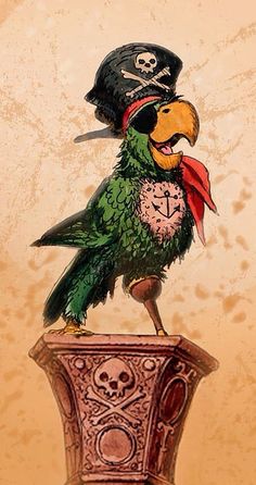 a bird with a pirate hat on top of a clock