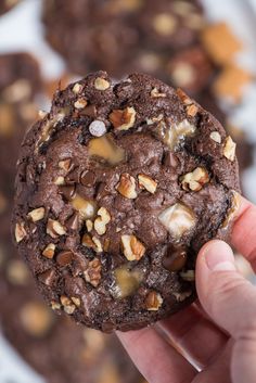 a hand holding a chocolate cookie with nuts