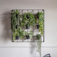 a wall mounted planter with plants on it's sides and hanging from the ceiling