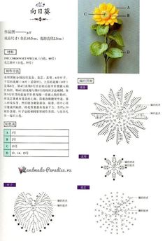 the instructions for how to crochet a flower with pictures and instructions in chinese