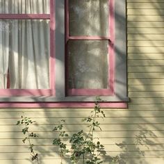 a cat sitting on the window sill of a house next to a flower pot