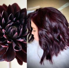 Dark Purple Hair Color Ideas, Longbob Hair, Dark Purple Hair Color, Purple Hair Color Ideas, Purple Hair Color