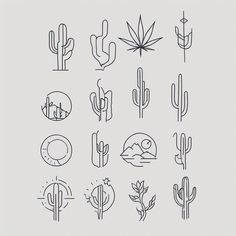 a collection of cactus and succulent icons