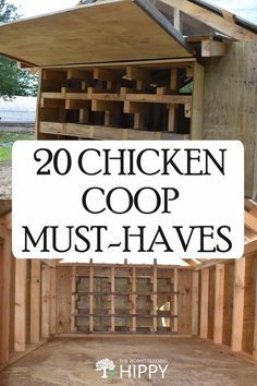 the chicken coop must have to be built in order to keep chickens cool and healthy