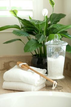 some towels and a brush sitting on a bathroom counter next to a potted plant