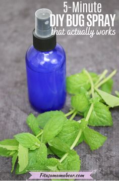 Homemade Citronella Bug Spray, Homemade Mosquito Spray For Skin, Mosquito Repelling Spray Diy, Mosquito Repellent Recipe, Homemade Misquote Repellent, Lemongrass Bug Repellent, Citronella Spray Diy, Homemade Insect Repellent Mosquito Spray, Diy Bug Repellent For Porch