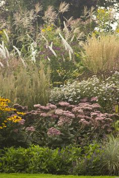 a park bench sitting in the middle of a garden filled with lots of flowers and plants