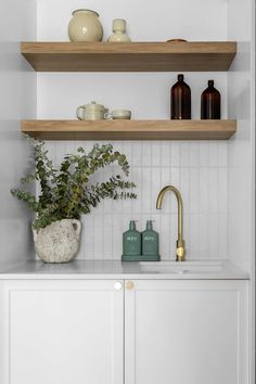 a white kitchen with wooden shelves and plants on the counter top, next to a sink