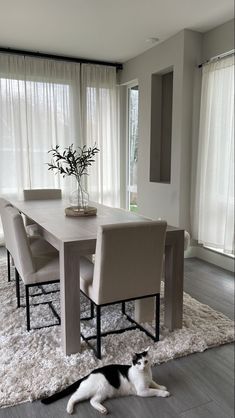 a black and white cat laying on the floor in front of a dining room table