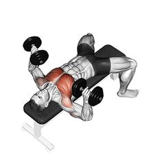 a man is doing a bench press with two dumbbells on his chest and back