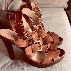 Coach Heels, Super Sexy Leather Strappy Heels That Go With Everything And Never Go Out Of Style. Worn 3 Times. The Heels Are In Great Condition. Coach Heels, Coach Shoes, Strappy Heels, Go Out, Out Of Style, Shoes Women Heels, Going Out, Shoes Heels, Size 7