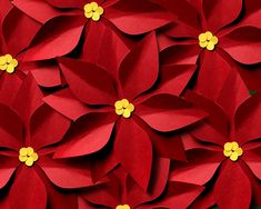 Several paper poinsettias with yellow centers arranged together. The petals have been curled to make the flowers 3D. Photo Transfer To Paper, Foto Transfer, File Template, Photo Transfer, Poinsettia Flower, Christmas Graphics, Christmas Poinsettia, 3d Christmas, Favorite Hobby