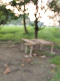 a blurry photo of a park bench and trees