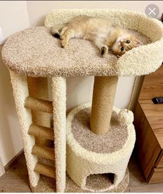 a cat laying on top of a scratching tower