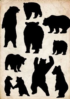 the silhouettes of different bears are shown